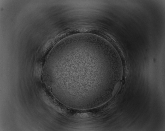 X0000051860307200507012347