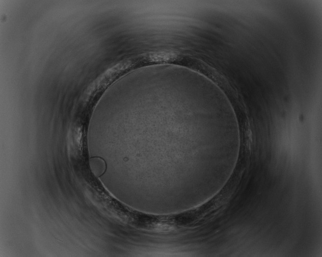 X0000051860308200507012347