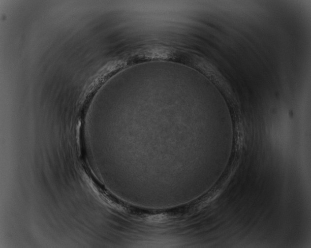 X0000051860309200507012347