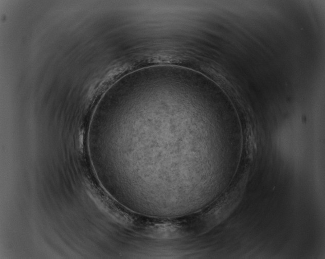 X0000051860310200507012347