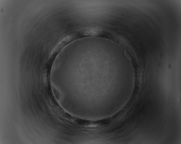 X0000051860312200507012347