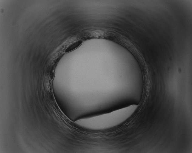 X0000051860313200507012347