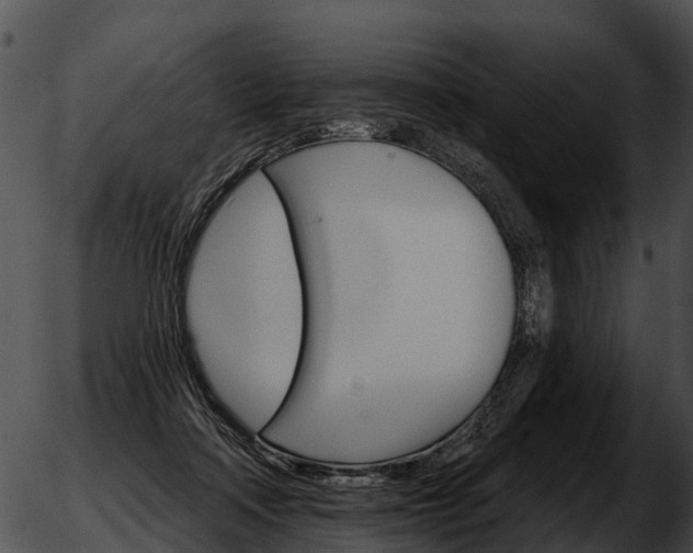 X0000051860314200507012347