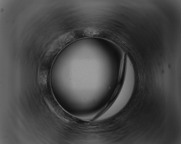 X0000051860315200507012347