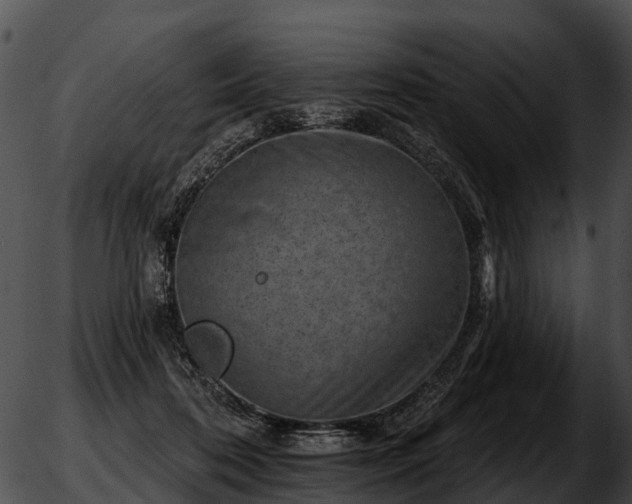 X0000051860316200507012347