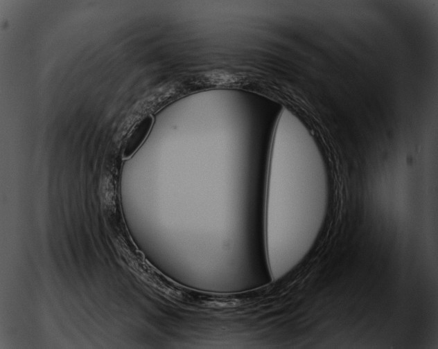 X0000051860317200507012347