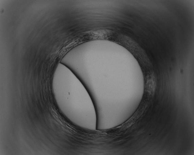 X0000051860318200507012347