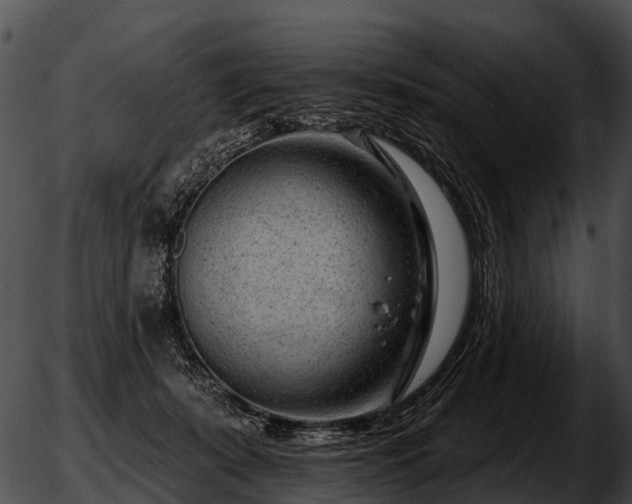 X0000051860319200507012347