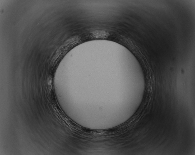 X0000051860321200507012347