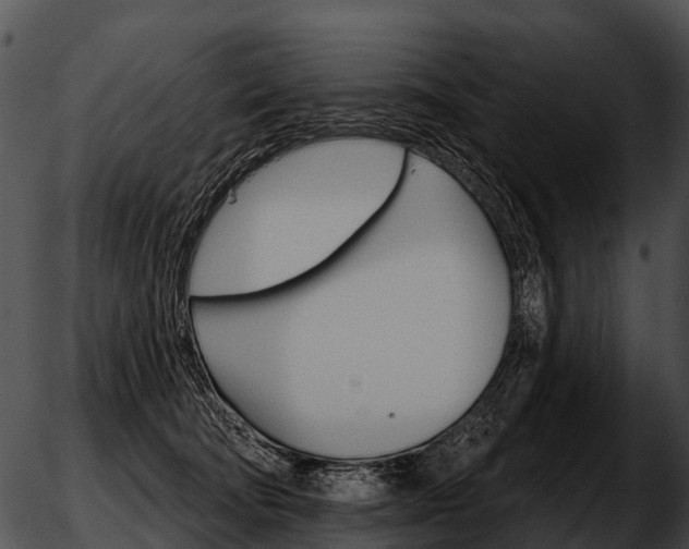 X0000051860322200507012347