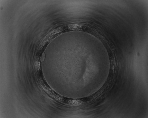 X0000051860324200507012347