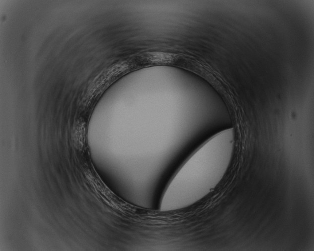 X0000051860325200507012347