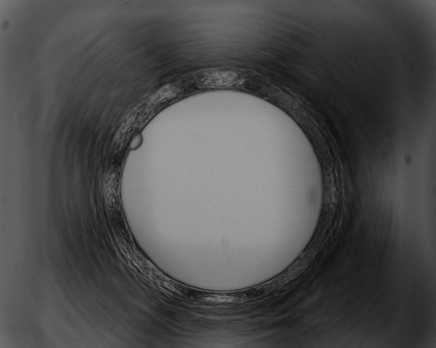 X0000051860326200507012347