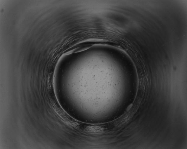 X0000051860327200507012347