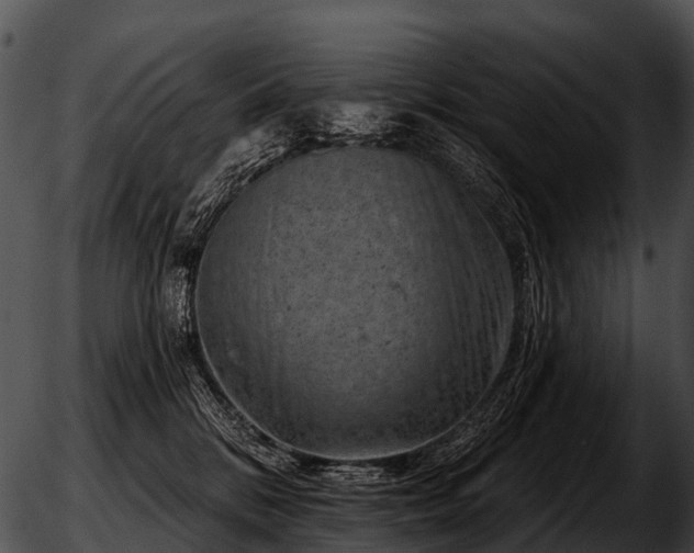 X0000051860328200507012347