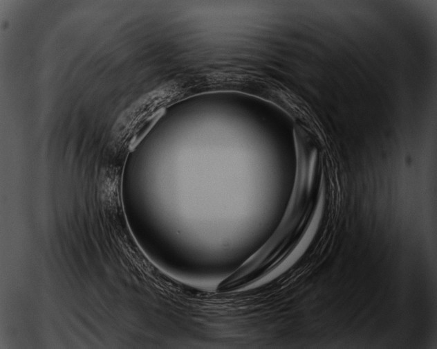 X0000051860329200507012347