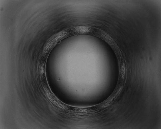 X0000051860330200507012347