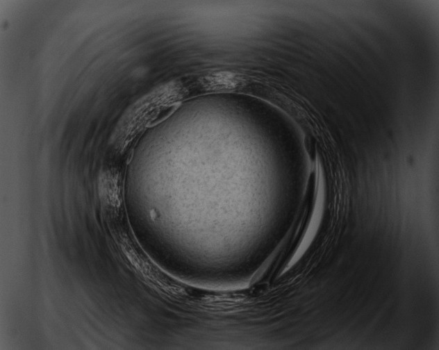 X0000051860331200507012347