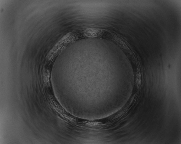 X0000051860332200507012347