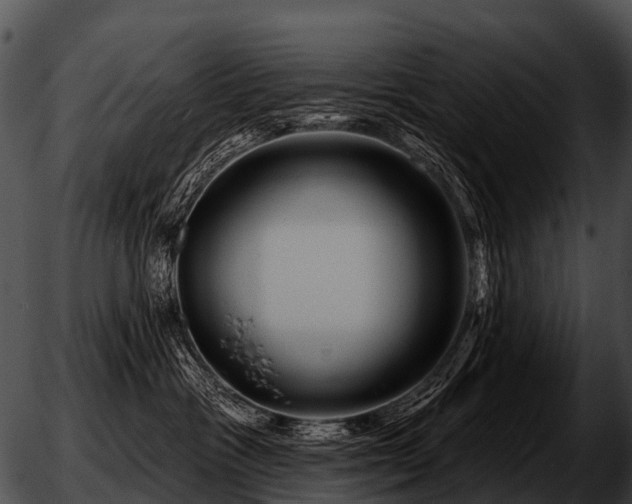 X0000051860333200507012347