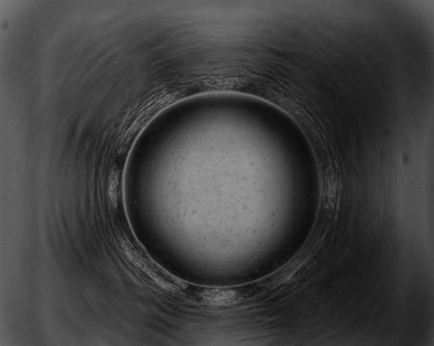 X0000051860334200507012347