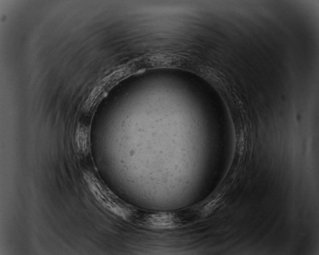 X0000051860335200507012347