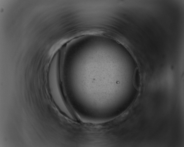 X0000051860337200507012346