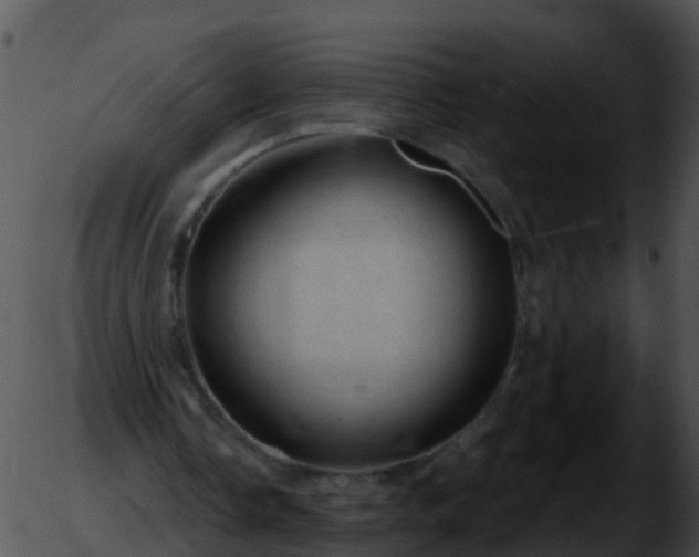 X0000051860338200507012346