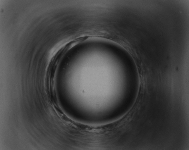 X0000051860340200507012346