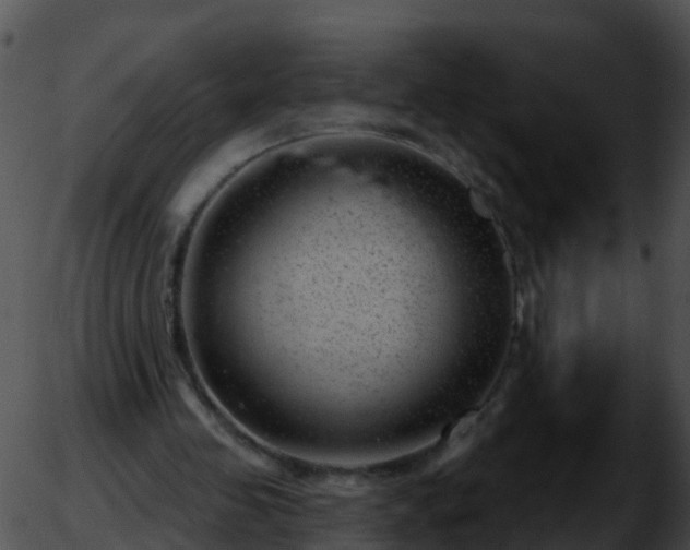 X0000051860341200507012346