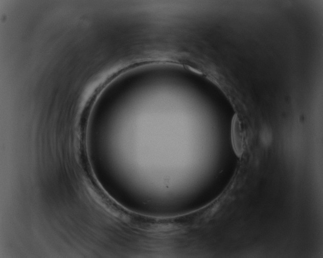 X0000051860342200507012346