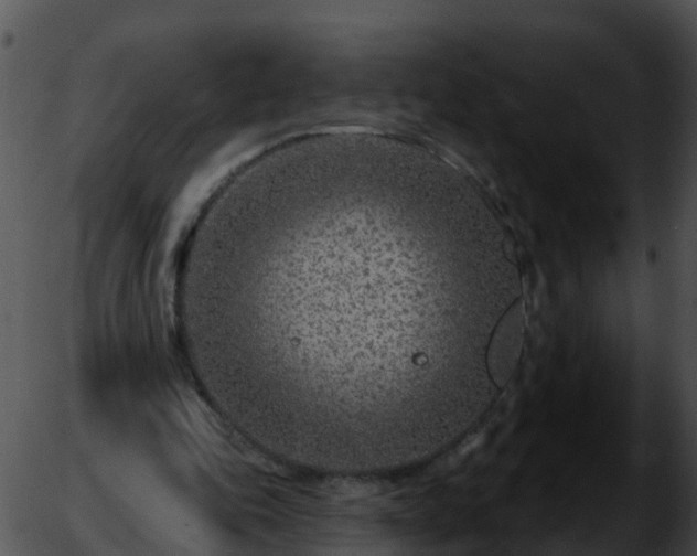 X0000051860343200507012346