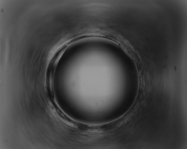 X0000051860344200507012346