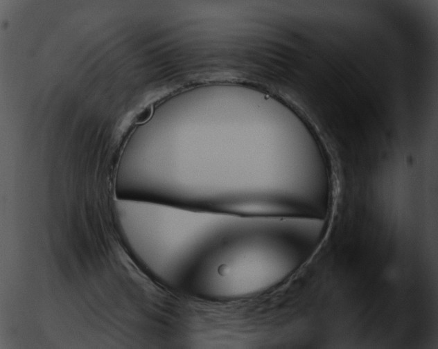 X0000051860345200507012346