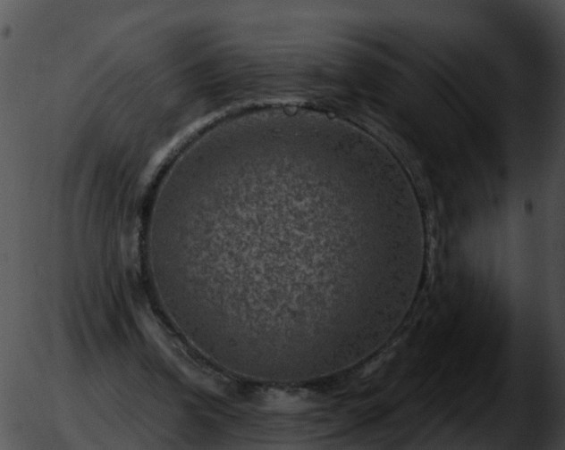 X0000051860346200507012346