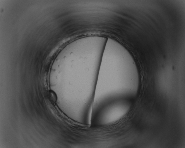 X0000051860347200507012346