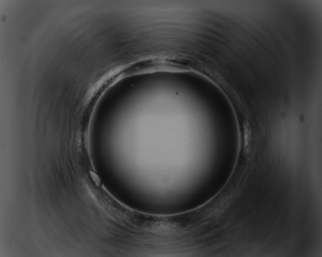 X0000051860348200507012346