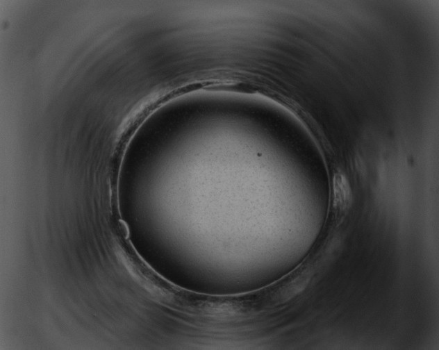 X0000051860349200507012346