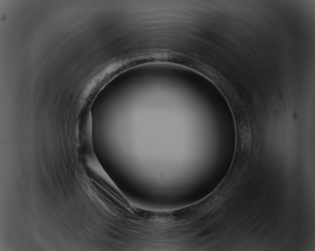 X0000051860350200507012346