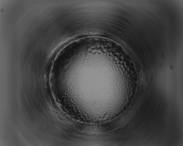 X0000051860351200507012346