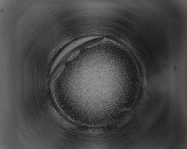 X0000051860353200507012346