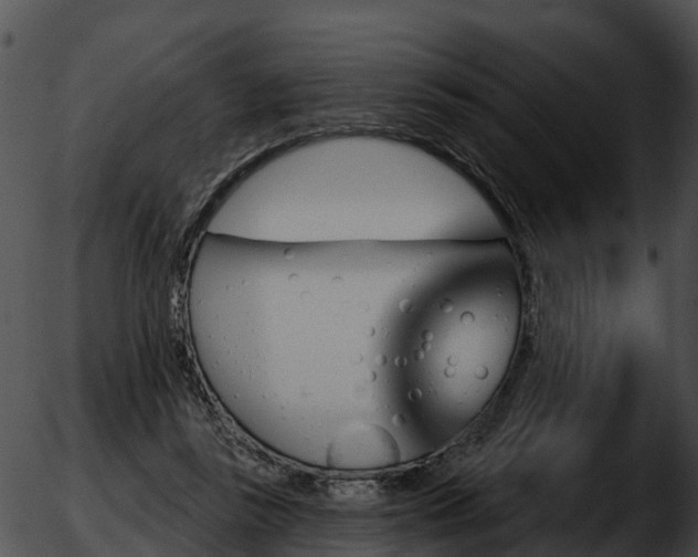 X0000051860355200507012346