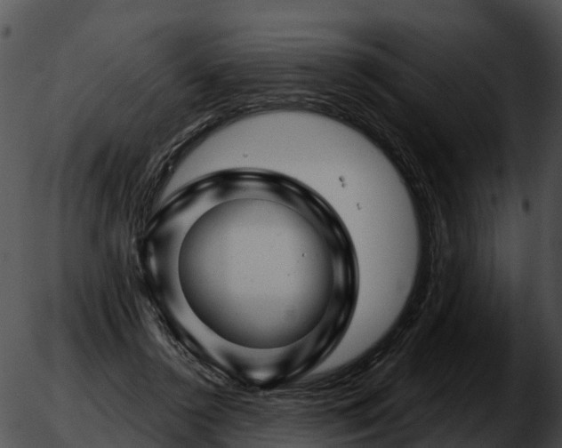 X0000051860356200507012346