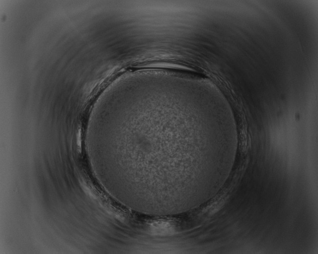 X0000051860358200507012346