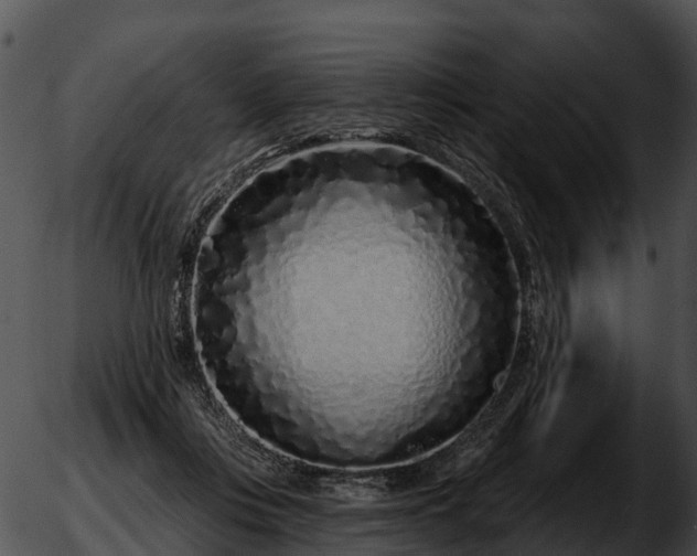 X0000051860359200507012346