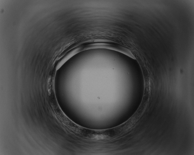 X0000051860360200507012346