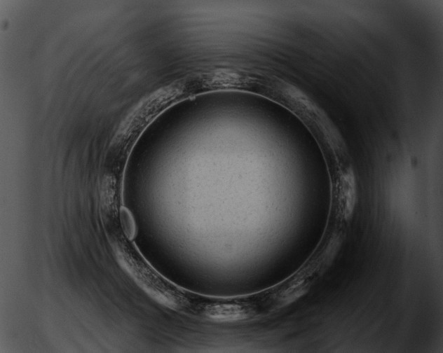 X0000051860361200507012346