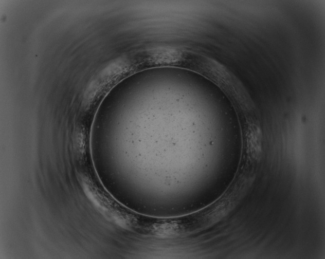 X0000051860362200507012346