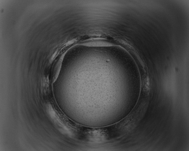 X0000051860365200507012346