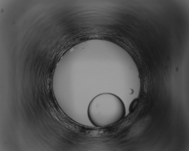 X0000051860366200507012346